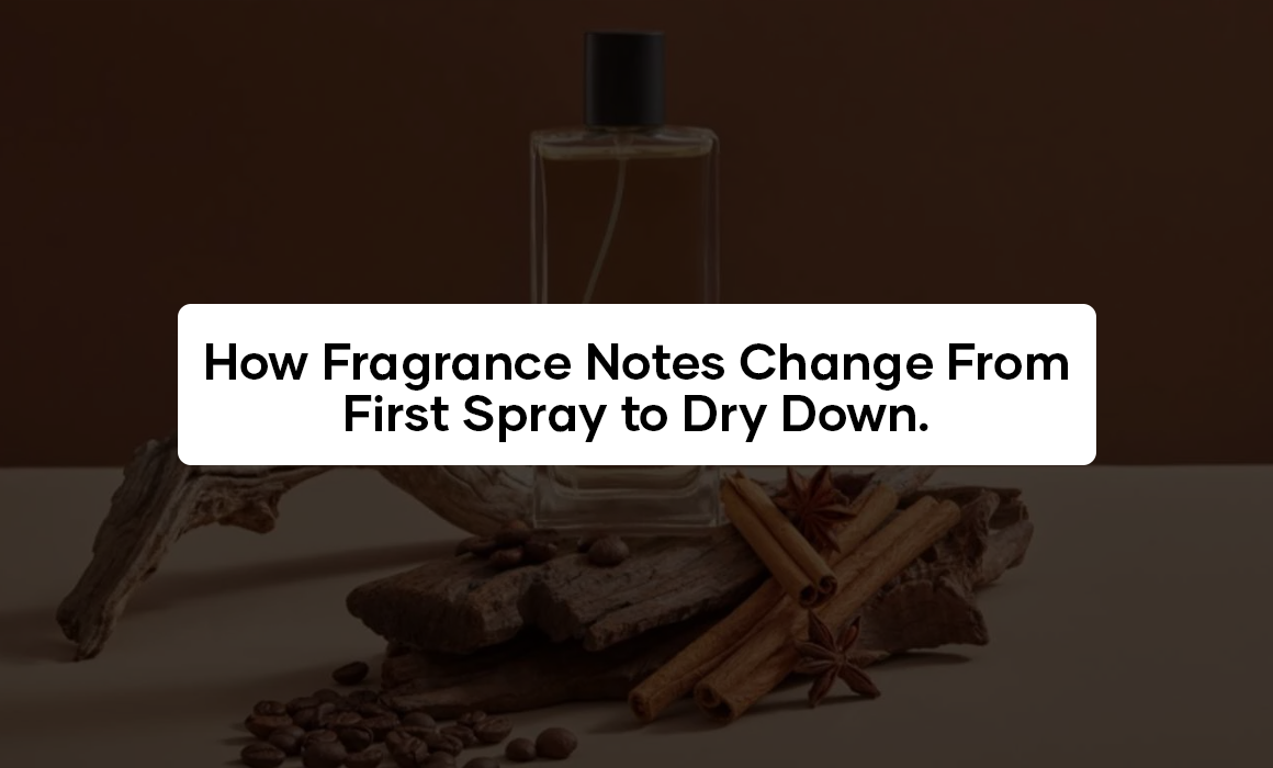 How Fragrance Notes Change From First Spray to Dry Down